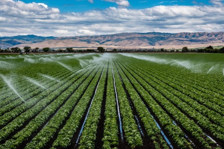 The Role Of Agriculture Pipes In Modern Farming