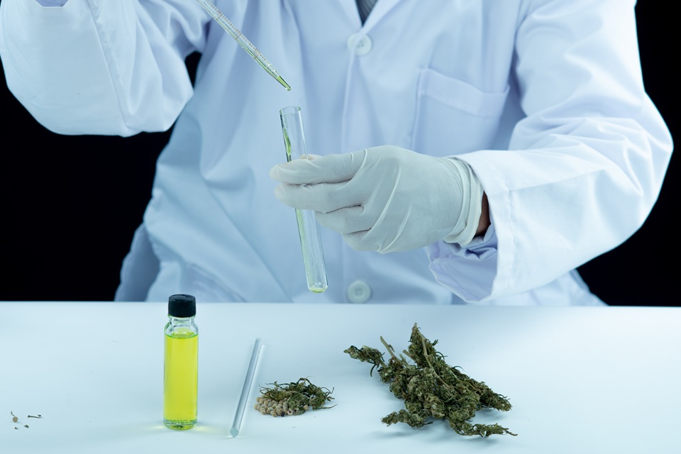 How THC To CBD Ratios Influence The Effects Of Cannabis