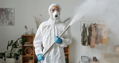 Seasonal Pest-Proofing: Year-Round Tips For A Pest-Free Home