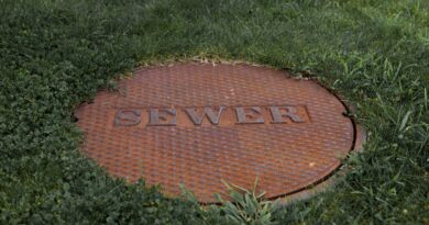 Common Septic System Problems And Their Solutions